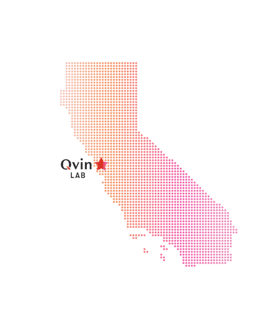 Qvin-preorder-illustrations_-09 1