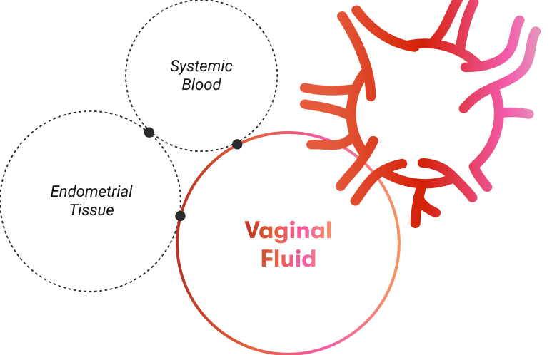 topimage_cervical_cancer topimage_cervical_cancer