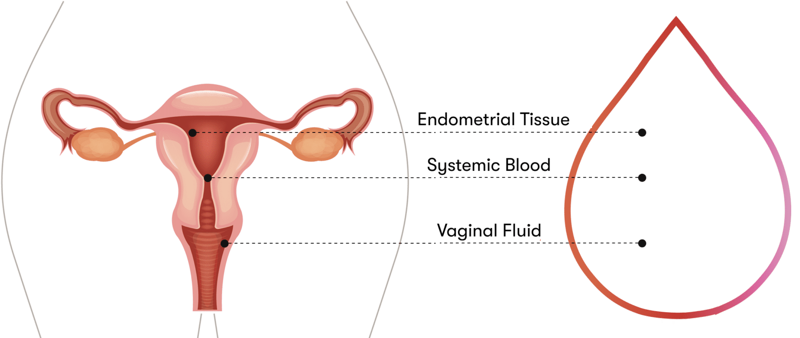 reproduction